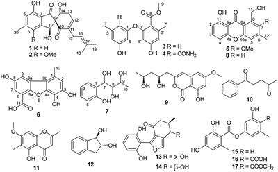 Phenol Derivatives From the Sponge-Derived Fungus Didymellaceae sp. SCSIO F46